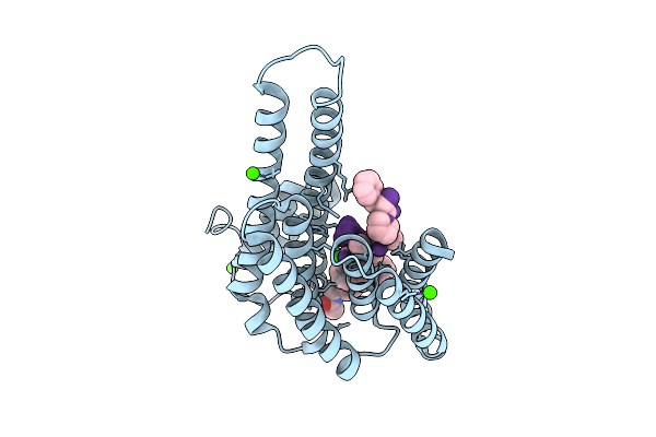 9I6T image