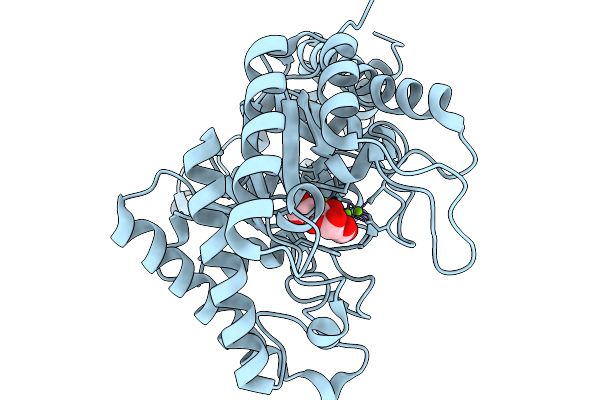 9I79 image