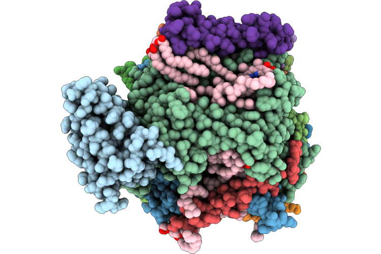 9I82 image