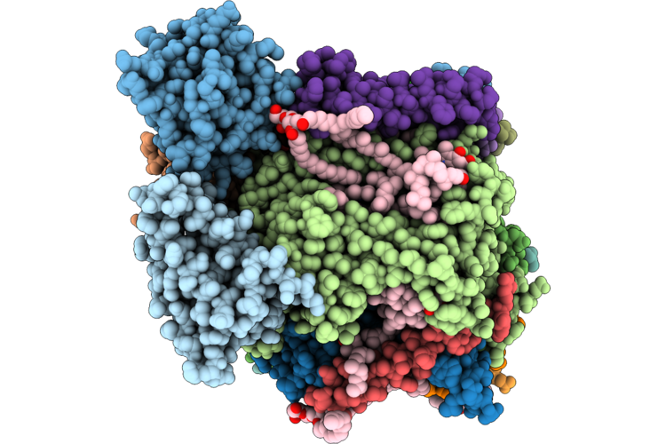 9I83 image