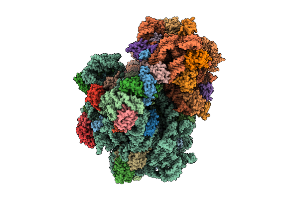 9I89 image