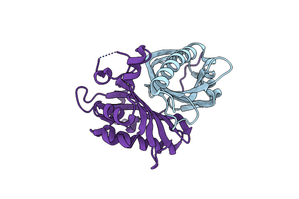9I8A image