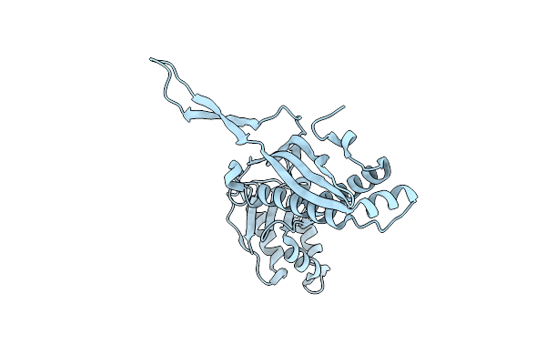 9I8D image