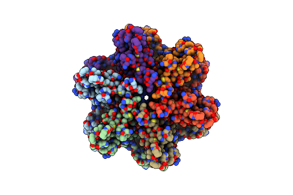 9I8I image
