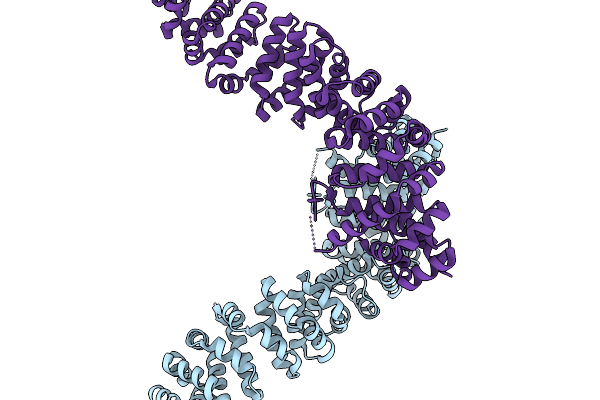 9I8K image