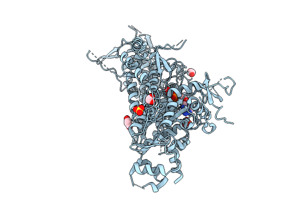 9I8P image