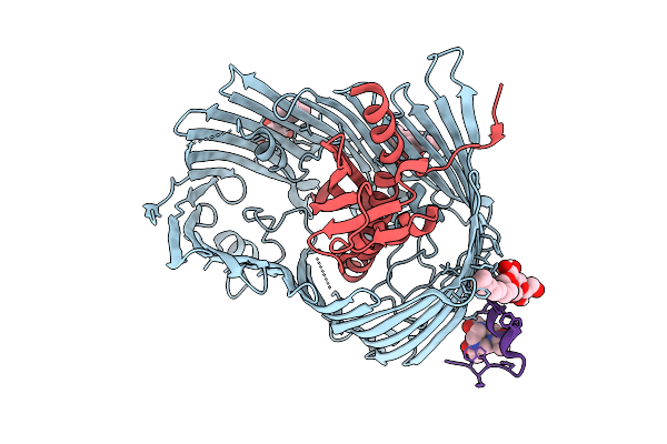 9I92 image