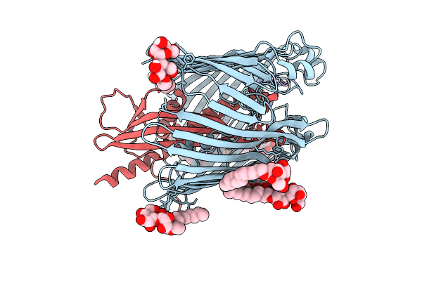 9I94 image