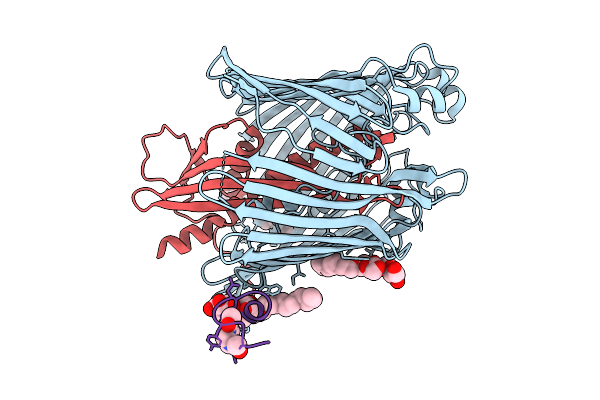 9I98 image