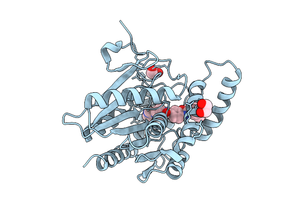 9I9C image