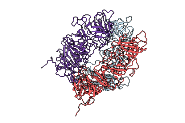 9I9D image