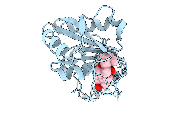 9I9G image