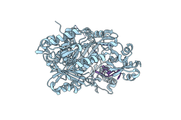 9IAD image