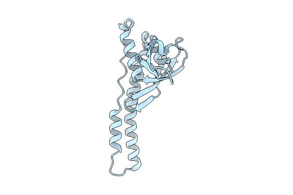 9IAE image