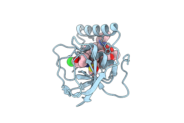 9IAF image