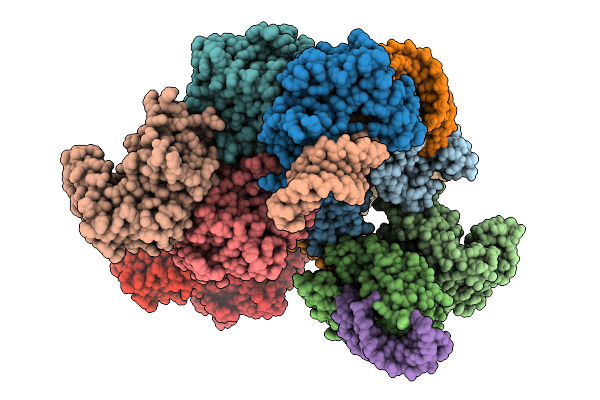 9IAK image