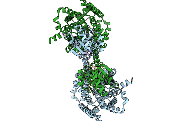 9IAR image