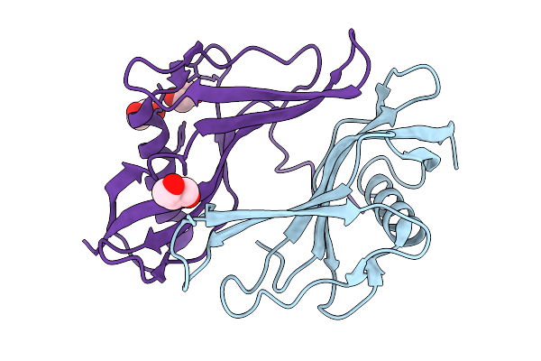 9IAV image