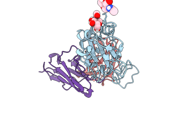 9IB1 image