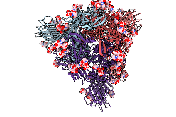 9IB2 image