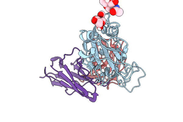 9IB3 image