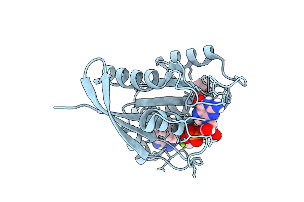 9IB5 image