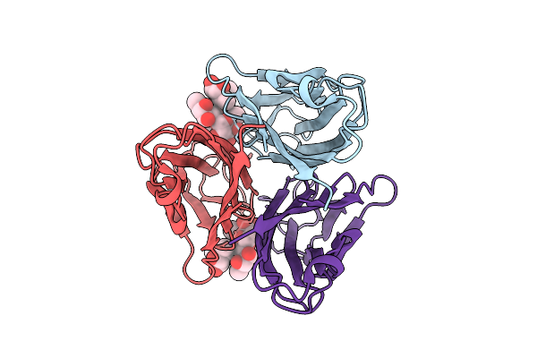 9IB8 image