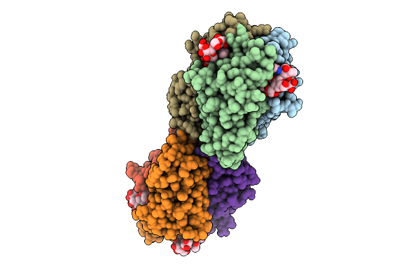 9IB9 image