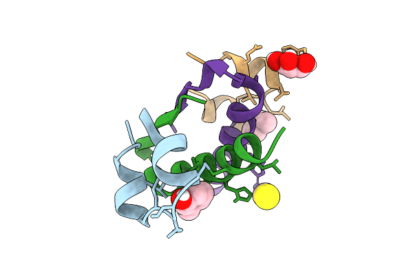 9IBB image
