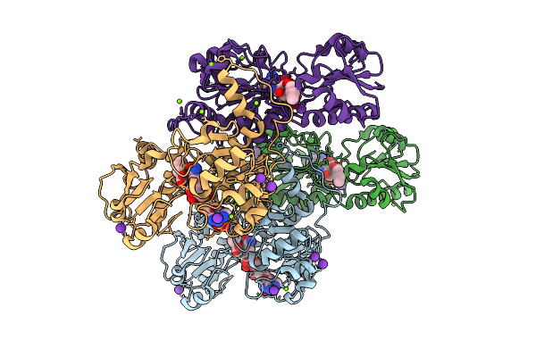 9IBE image