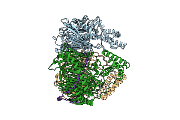 9IBH image