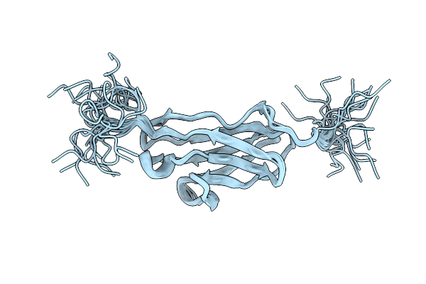 9IBI image