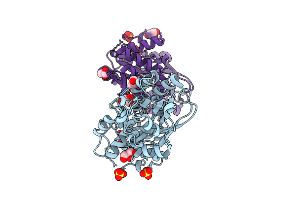 9IBP image