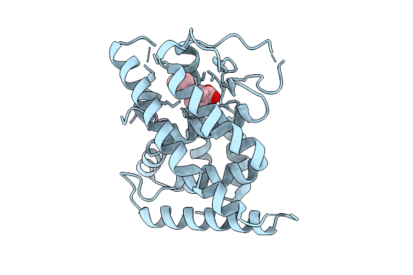 9IBR image