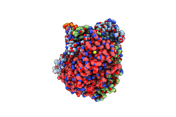 9IBX image