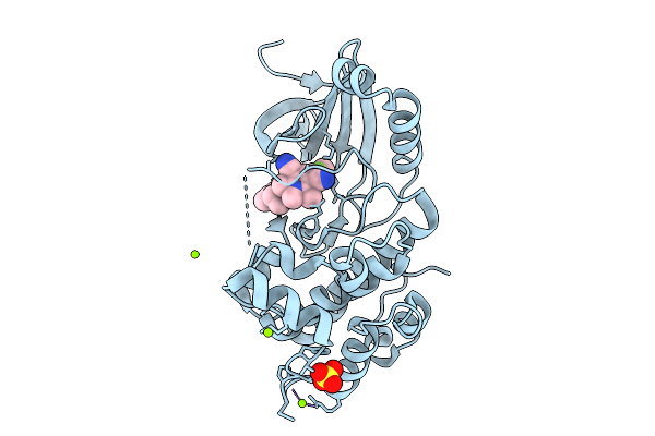 9IC2 image