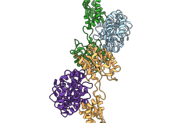 9IC8 image