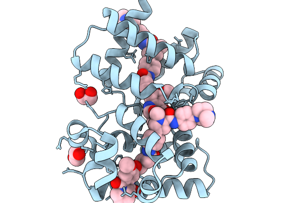 9IC9 image