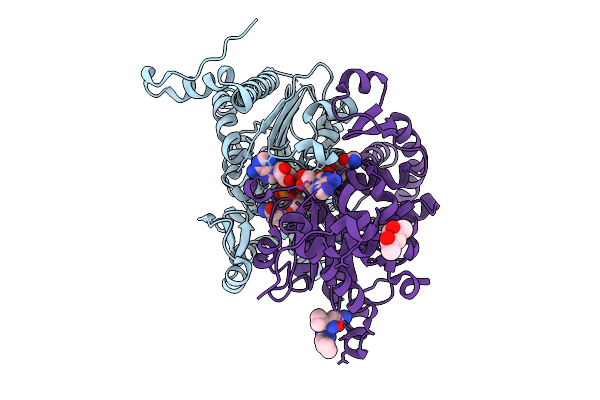 9IDE image