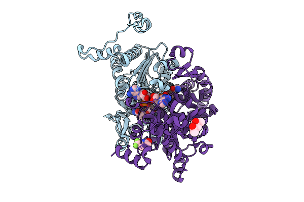 9IDG image
