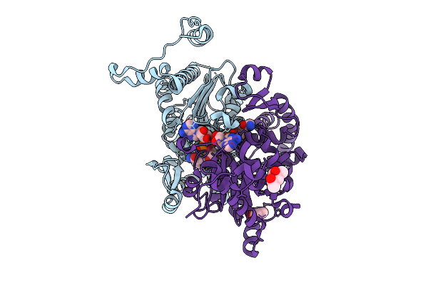 9IEF image