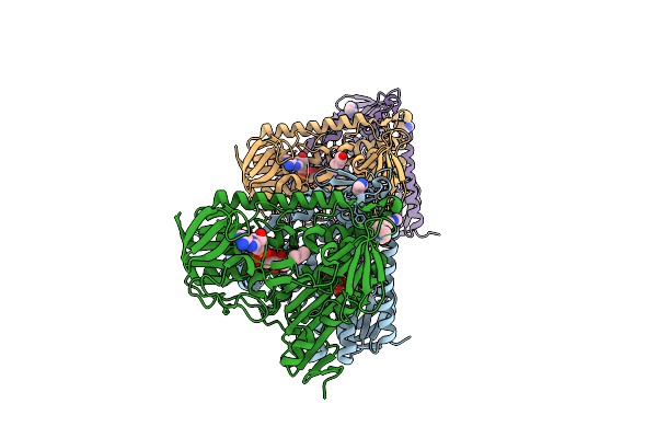 9IFF image