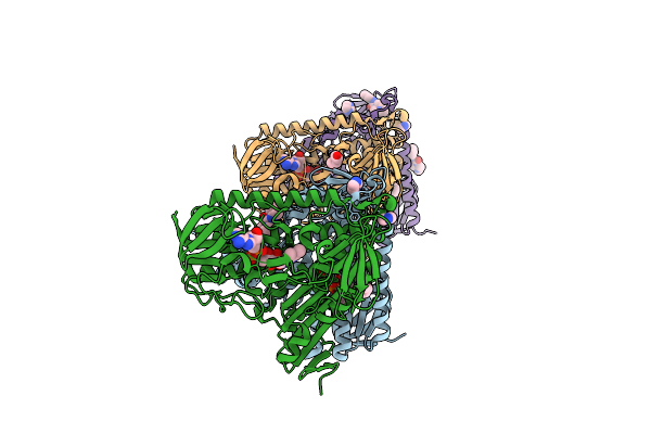 9IFH image