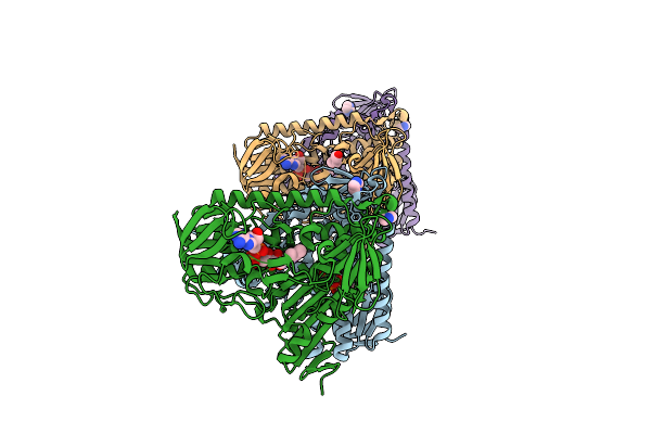 9IFJ image