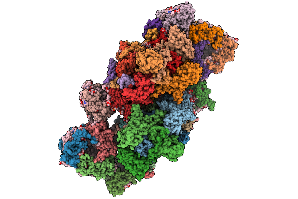 9IFM image