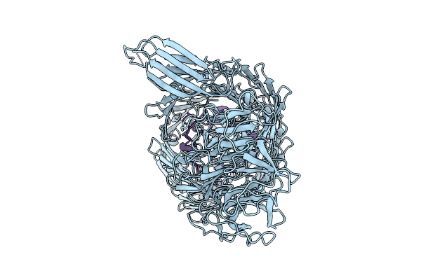 9IFO image