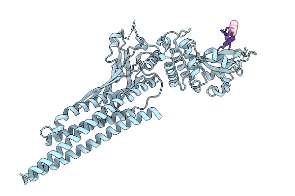 9IFX image