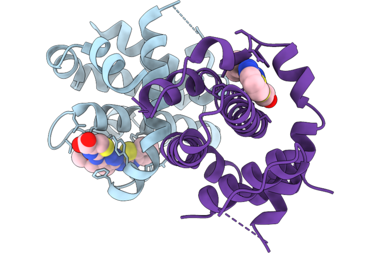 9IGF image