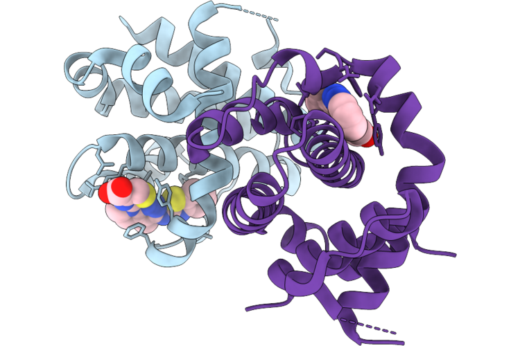 9IGG image