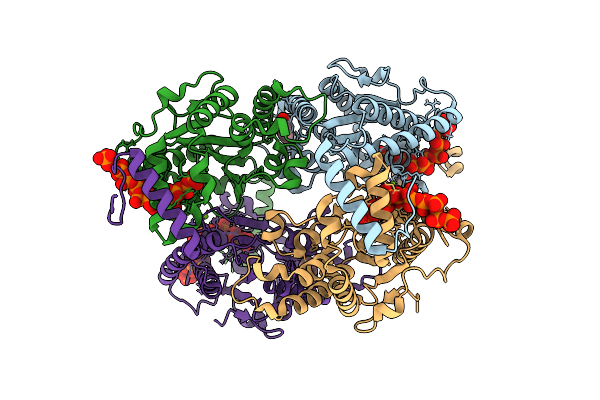9IGR image